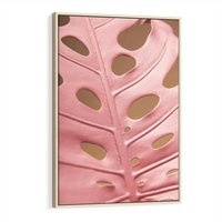 Obraz w ramie 80x120 - Różowa monstera w pełnym rozkwicie - różowa, monstera - rama drewno