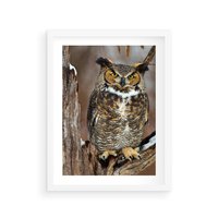 Plakat w ramie 30x40 - Tajemniczy Stróż - sowa, las - rama biała