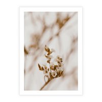 Plakat bez ramy 21x30 - Kwiatowa suchość - kwiaty, susz