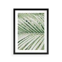 Plakat w ramie 40x50 - Liście Palmy: Egzotyczna Grafika - palma, liście palmy - rama czarna