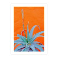 Plakat bez ramy 21x30 - Naturalna Harmonia - kaktusy, liście