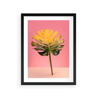 Plakat w ramie 40x50 - Majestatyczna monstera - monstera, liść - rama czarna