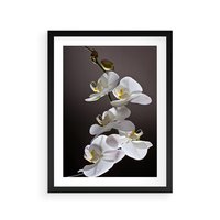 Plakat w ramie 50x70 - SPA: harmonia z kwiatami - spa, kwiaty - rama czarna