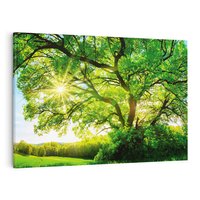 Obraz na płótnie 120x80 - Natura w pełnym rozkwicie - drzewo, niebo