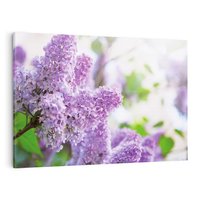 Obraz na płótnie 120x80 - Delikatny liliowy dotyk - lilie, fiolet