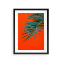 Plakat w ramie 30x40 - Egzotyczny Urok - liście, palma - rama czarna