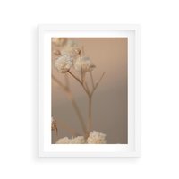 Plakat w ramie 30x40 - Subtelna gipsówka - gipsówka, suche - rama biała