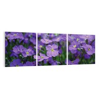 Obraz na płótnie 150x50 - Kwiatowe uniesienia magia natury - kwiat, kwiaty