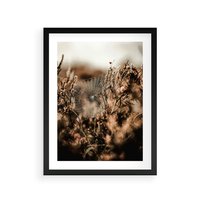 Plakat w ramie 30x40 - Jesienny Mikrokosmos - suchetrawy, jesienny klimat - rama czarna