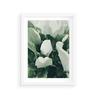 Plakat w ramie 50x70 - Zgaszona Uroda Natury - zielone liście, zgaszona zieleń - rama biała