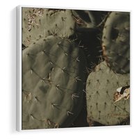 Obraz w ramie 50x50 - Urok Egzotyki - kaktusy, boho - rama biała