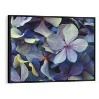 Obraz w ramie 100x70 - Hortensja - delikatność kwiatów - hortensja, kwiaty - rama czarna