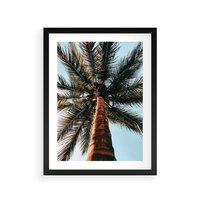 Plakat w ramie 50x70 - Rajskie Inspiracje: Palma na Niebie - palma, na tle nieba - rama czarna