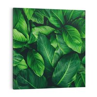 Obraz na płótnie 40x40 - Palma Liście Kwiat - palma, liście