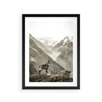 Plakat w ramie 50x70 - Dzikie Piękno: Kozica w Malowniczym Górskim Scenerii - kozica, góry - rama czarna