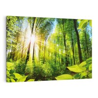 Obraz na płótnie 70x50 - Magia Leśnej Przyrody - las, drzewa