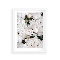 Plakat w ramie 30x40 - Modne Białe Kwiaty - białe kwiaty, płatki - rama biała