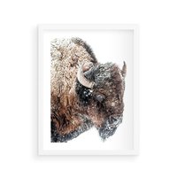 Plakat w ramie 50x70 - Obraz Dzikiej Przyrody w Śnieżnym Otoczeniu - żubr, śnieg - rama biała