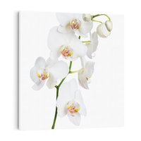 Obraz na płótnie 60x60 - Ekskluzywny Relaks - storczyk, spa