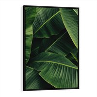 Obraz w ramie 50x70 - Zaklęta roślinna ekspresja - liście bananowca, gęsto ułożone - rama czarna