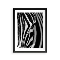 Plakat w ramie 40x50 - Pasy Zebr - zebra, paski - rama czarna