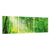 Obraz na płótnie 120x40 - Urok lasu na drodze - las, drzewa