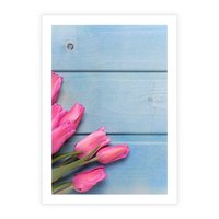 Plakat bez ramy 30x40 - Piękno w pełnym rozkwicie - kwiaty, tulipany