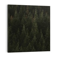 Obraz na płótnie 40x40 - Ciemny las iglasty - las, iglasty