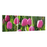 Obraz na płótnie 150x50 - Tulipanowa harmonia - tulipany, kwiaty