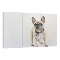 Obraz na płótnie 120x80 - Wernisaż psiego wdzięku - pies, piesek