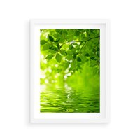 Plakat w ramie 50x70 - Liście w Wodzie - liście, woda - rama biała