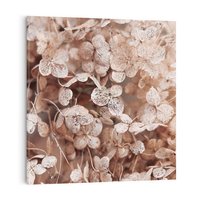 Obraz na płótnie 70x70 - Przemijająca Piękność - fotografia, zbliżenie