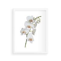 Plakat w ramie 40x50 - Ekskluzywny Relaks - storczyk, spa - rama biała