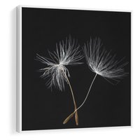 Obraz w ramie 50x50 - Delikatność Wiatru - dmuchawce, makro - rama biała