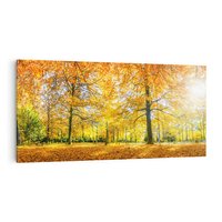 Obraz na płótnie 120x60 - Jesień w Lesie: Urok Lasu - jesień, las