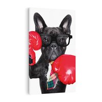 Obraz na płótnie 80x120 - Boksujący mops - pies - boks, mops