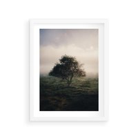 Plakat w ramie 30x40 - Zamglona Prostota - artystyczna fotografia, samotne drzewo na zamglonej łące - rama biała