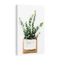 Obraz na płótnie 70x100 - Eukaliptusowa harmonia - eukaliptus, liście