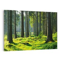 Obraz na płótnie 70x50 - Idylliczny las - las, drzewa