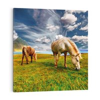 Obraz na płótnie 80x80 - Konie na łące przy jeziorze: Siła natury - konie, łąka