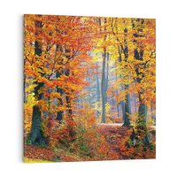 Obraz na płótnie 50x50 - Jesienny taniec lasu - jesień, las
