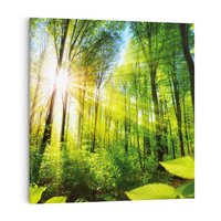 Obraz na płótnie 50x50 - Magia Leśnej Przyrody - las, drzewa