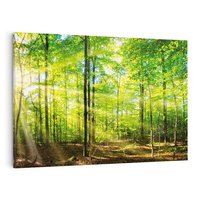 Obraz na płótnie 120x80 - Drzewa w harmonii - las, drzewa