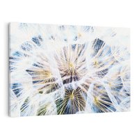 Obraz na płótnie 100x70 - marzenia w locie - dmuchawce, dmuchawiec