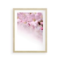 Plakat w ramie 50x70 - Kwitnąca Wiśnia - kwiaty, kwitnącej - rama drewno
