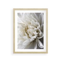 Plakat w ramie 40x50 - Białe Kwiaty Delikatności - białe, kwiaty - rama drewno