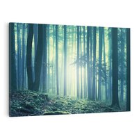 Obraz na płótnie 70x50 - Mistyczny las w mgle - las, mgła