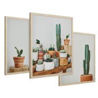 Zestaw obrazy w ramie 30x40 galeria - Kaktusy, w, doniczkach, boho - rama drewno