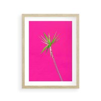 Plakat w ramie 30x40 - Retro Stylizacja - palma, liście - rama drewno