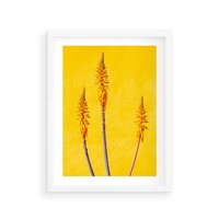 Plakat w ramie 30x40 - Radość Natury - kolor, kwiaty - rama biała